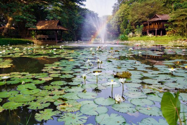 Lampang River Lodge