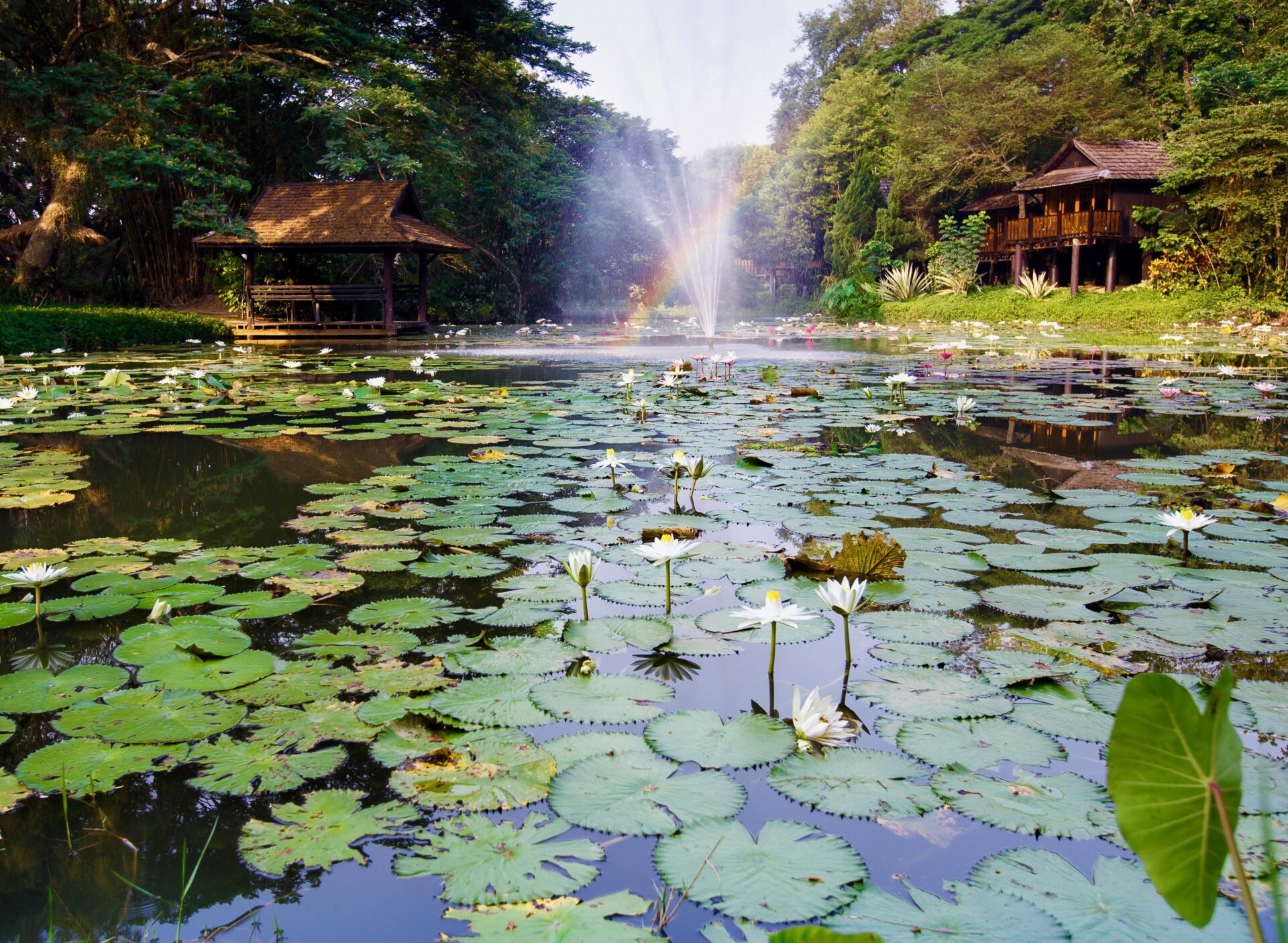 Lampang River Lodge