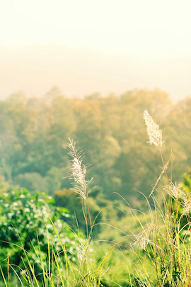 Sustainability Stay green 8 SERENATA Hotels & Resorts Group sustainability