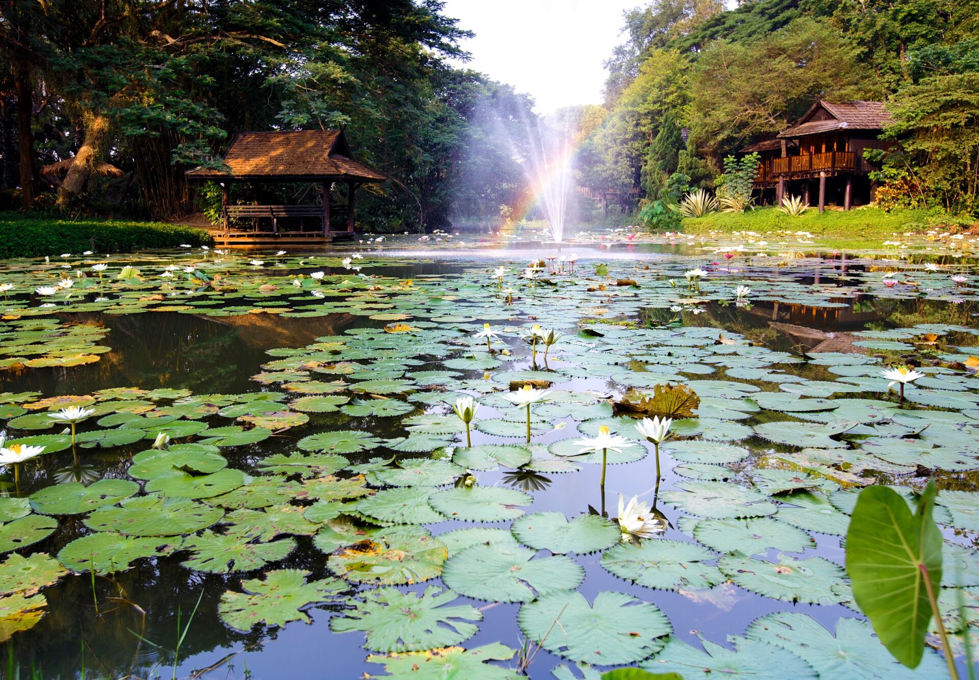 Lampang River Lodge